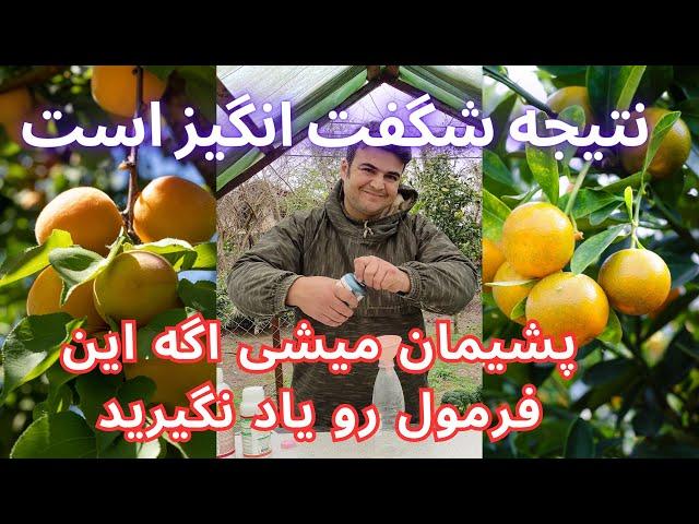 ساختن دارویی ضد تمام حشرات با محافظت سه ماهه  و تضمینی/حتماً پشیمان می‌شوید اگر استفاده نکنید