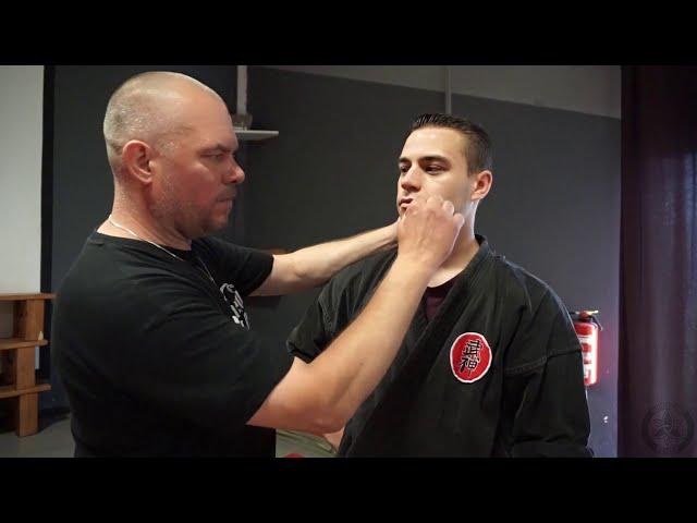 Karate trifft auf Ninjutsu | Bujinkan Budo Taijutsu | mit Dai Shihan Axel Franke