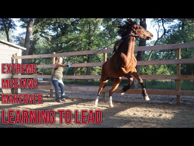 Learning to Lead | Extreme Mustang Makeover Day 4