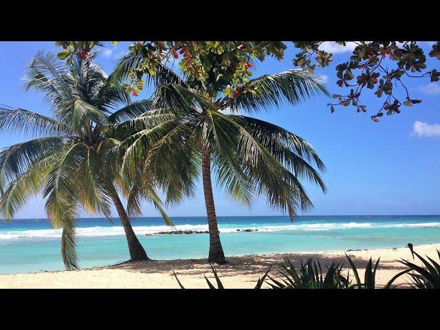 Sugar Bay Barbados 2019