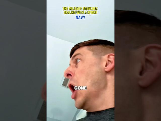 Military branches dealing with a spider