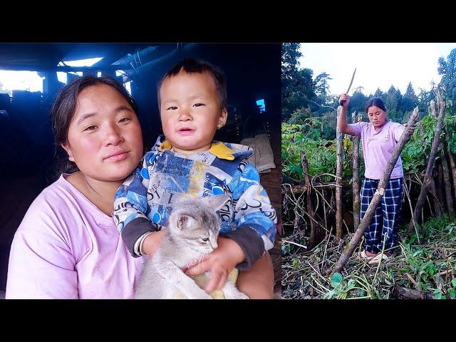 Jonson loves kitten II Mom Jina working outside shelter@Sanjip Jina