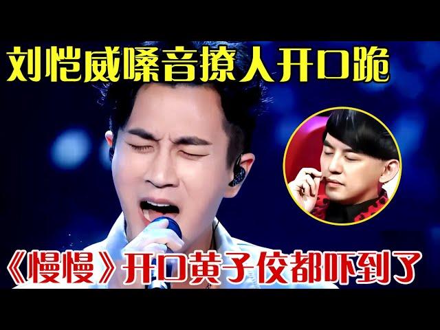 刘恺威痛彻心扉演唱《慢慢》，港式发音开口碾压张学友，开口黄子佼都吓到了！【跨界之声】#刘恺威#张学友