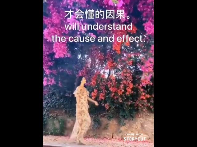 开悟堂世界公民频道 Kaiwutang world citizen channel 2020.5.31
