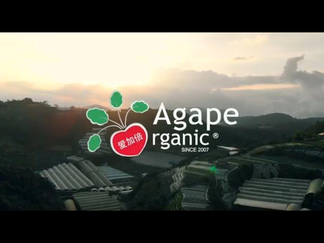 Agape Organic 爱加倍有机农业