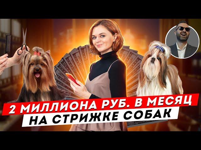 БИЗНЕС НА СТРИЖКЕ СОБАК. Как заработать на обучении грумингу большие деньги? Интервью.