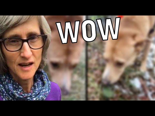 How That Vegan Teacher Treats Her Dog.. (WOW)