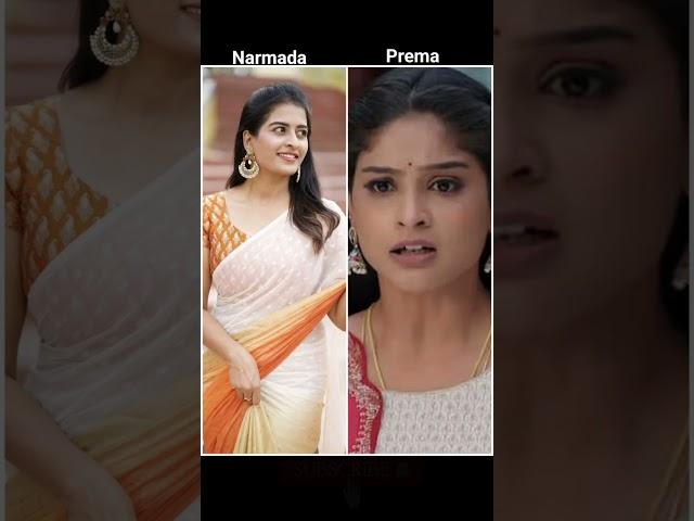 #ytshorts#trending#tollywood#serial actress #narmada and prema#illuillalupillalu serial#filmshorts#