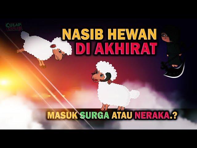 Nasib Hewan Di Akhirat, Masuk Surga atau Neraka..?