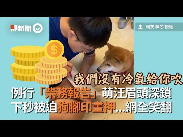 飼主向柴犬做例行「柴務報告」！萌汪被迫按狗腳印畫押｜寵物｜柴柴