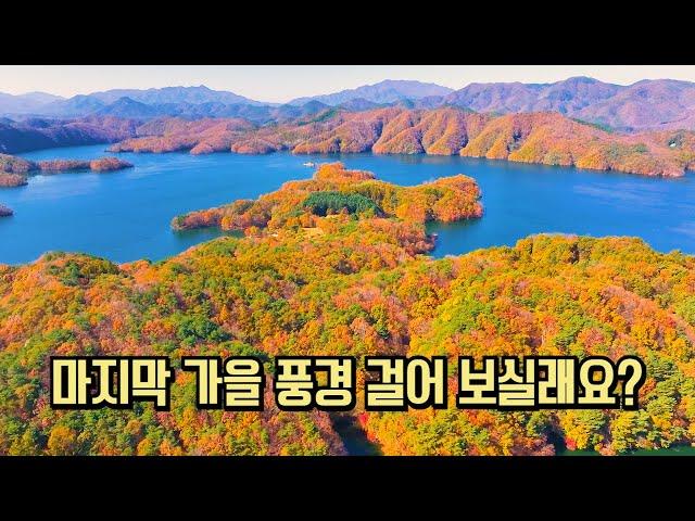 11월 마지막 가을 풍경 가득한 여행 추천 BEST #국내여행 #여행추천