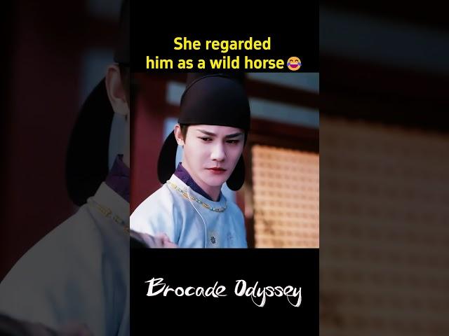  | Brocade Odyssey | YOUKU