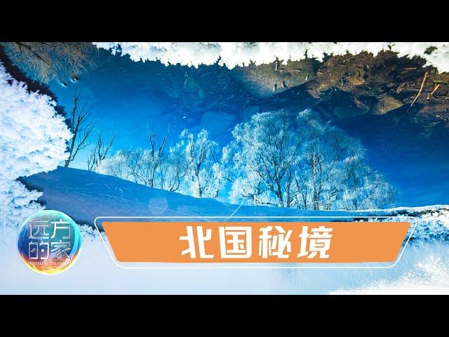 内蒙古额尔古纳国家级自然保护区 北国秘境——大兴安岭的“精灵” 20220318 |《远方的家》CCTV中文国际