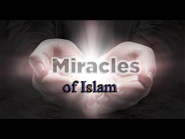 Miracles of Islam. Miracles of Allah. HBE Channel. Mohammad Rayhan.