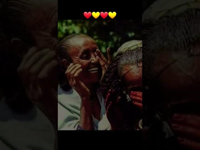 አደይ️ #Shorts #tigray #tigraymusic #tigraytiktok #debretsion #tigraynews #tmh #eregnaye#dwnews