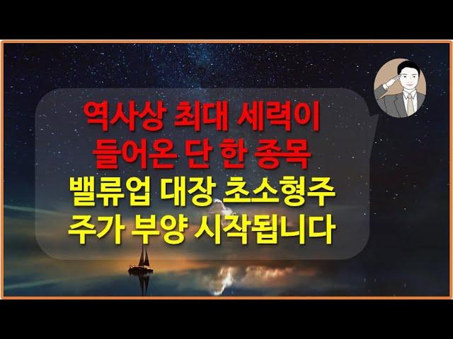 역사상 최대 세력이 유입된 한 종목[밸류업 대장 소형주입니다] DB금융투자 주가 부양 시작