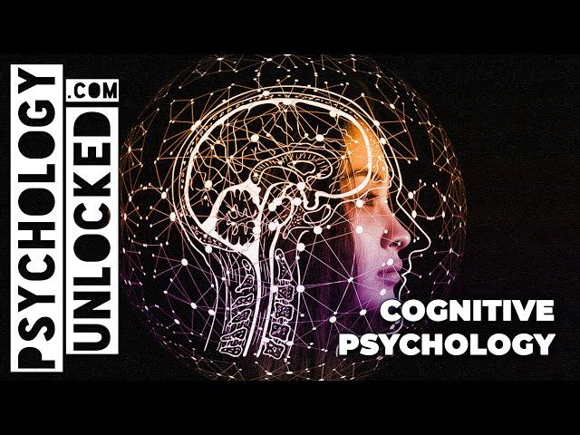 Cognitive Psychology explained in less than 5 minutes