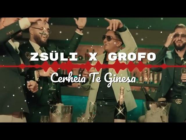 ZSÜLI X GROFO Cerheia Te Ginesa