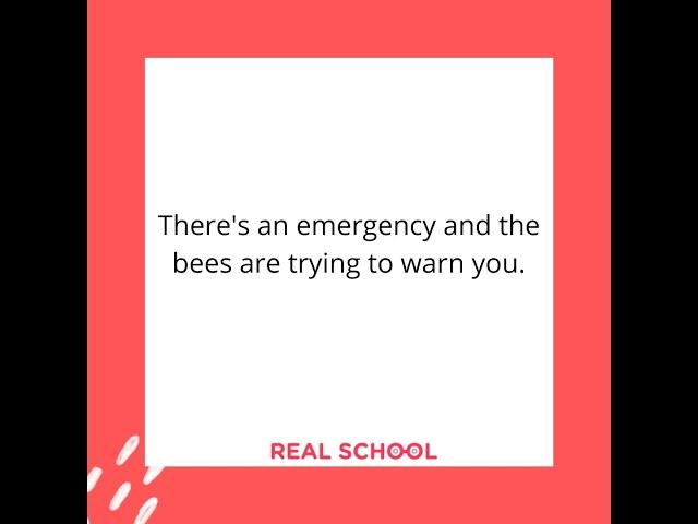 What will happen if Bees Vanish? | Online Workshops for kids by REAL School