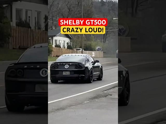 Crazy Loud Shelby GT500 Goes BEAST MODE! @exhaustaddicts