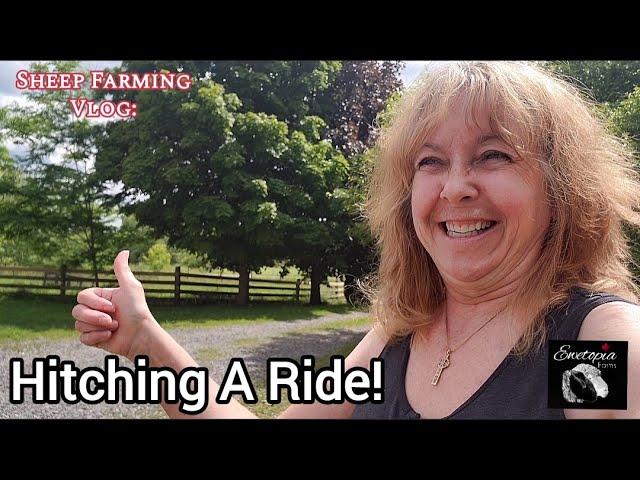 Haying Season Challenges: Assessing Hay Quality and Unexpected Lamb Breakout!