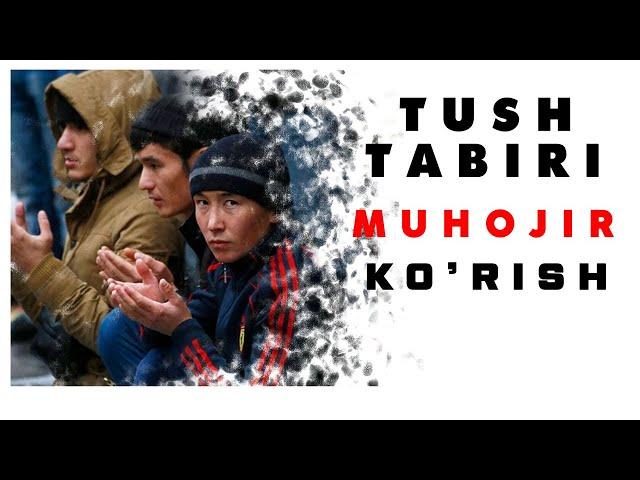 Tushda Muhojir Migrant Ko'rish Tabiri