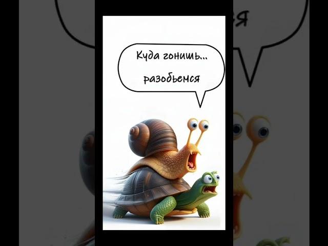 #jokes #funny #photos  #comics  #top #think #choose