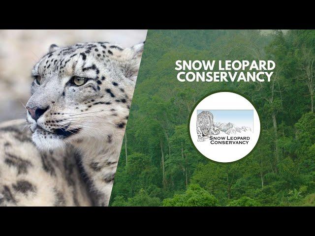 How Local People Are Saving Snow Leopards | Wildlife Conservation Expo 2022