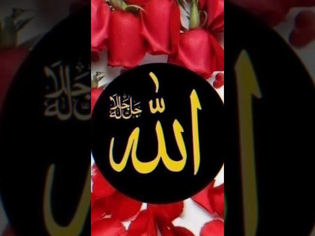 Islamic status 2  ll status # short # shorts #  viral short # rdp islamic status #rdp islamic short