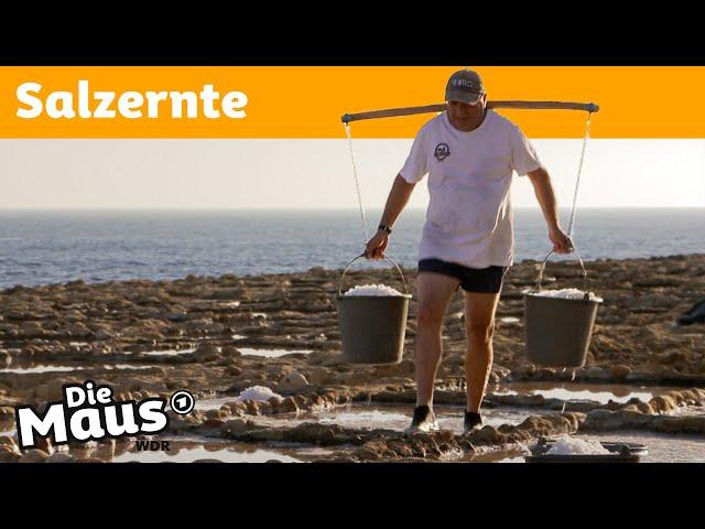 Wie wird Salz aus dem Meer geerntet? | Die Maus | WDR