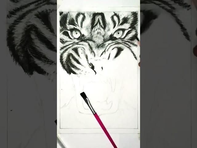  Realistic Tiger Pencil ArT #pencildrawing #viral #art #realistic #tiger #trending ️