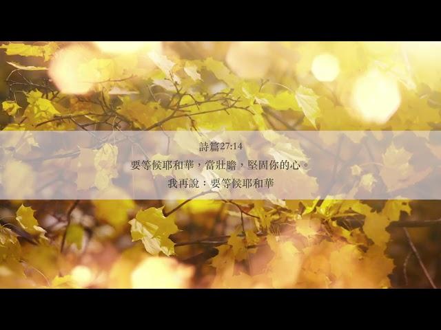 等候神音樂 Wait Upon God Soaking Music 2021 Episode 1