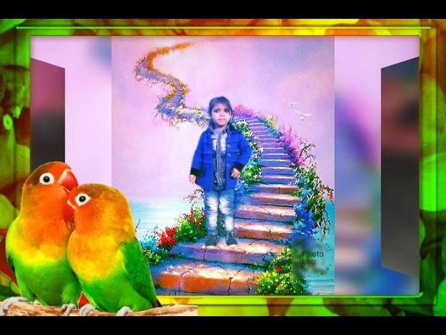 Lalit chauhan Love