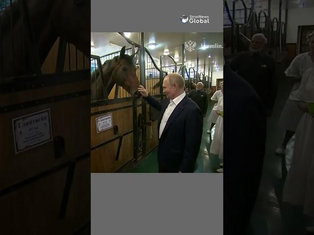 #Putin showing off his horses to #Modi at his Novo-Ogaryovo dacha | #shorts #india #russia
