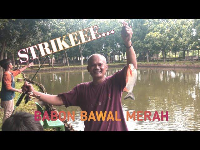 STRIKEEE...MANCING SAMBIL ARISAN KELUARGA #bani #strike #mancingmania