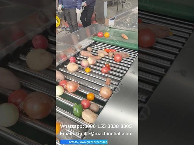 Fruits And Vegetable Grading Sorting Machine