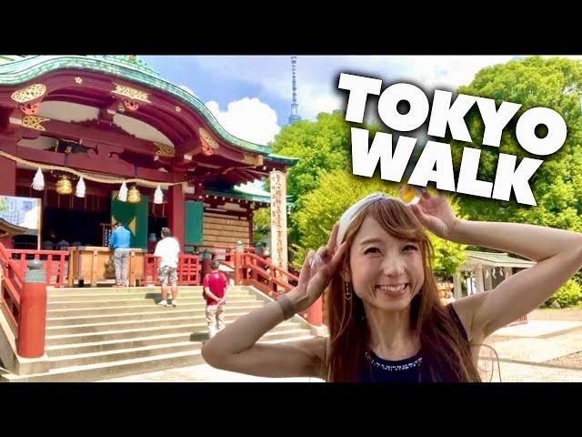 Live Walk  - Tokyo Saturday Morning | KINSHICHO