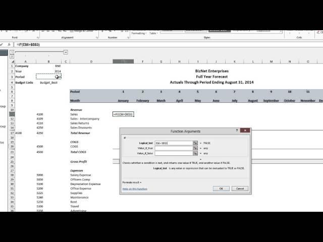 BizNet Software Tips and Tricks  #7 Creating an Actual vs  Budget Report