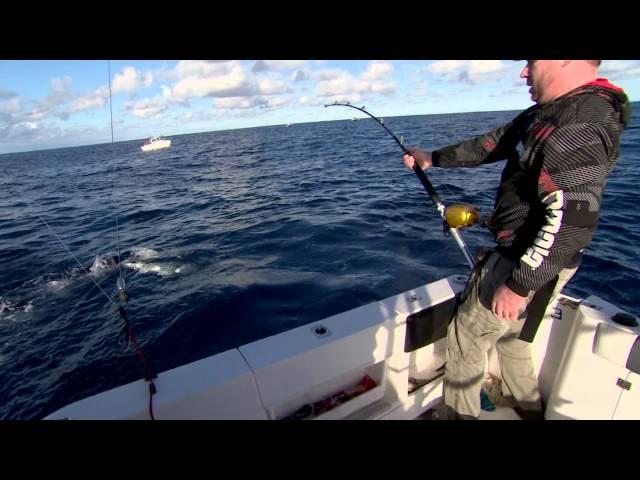 Fishing Edge - Insane southern blue fin action off Tathra NSW