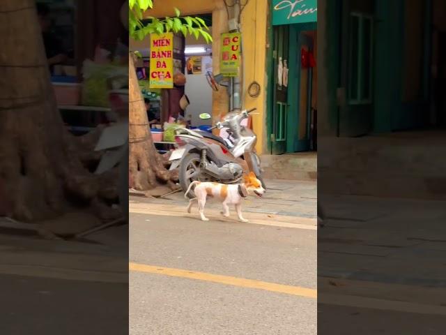 Street inspections in Hanoi 