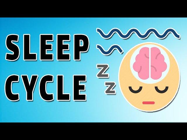 Physiology of Sleep