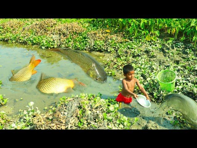 Little Boy Fishing By Traditional Fishing System. Amazing Fishing Video. Fishing Boss