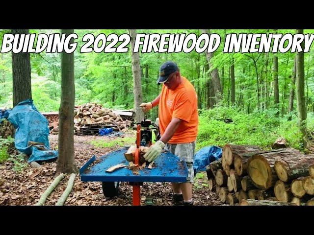 Splitting/Stacking white oak FIREWOOD in the woods