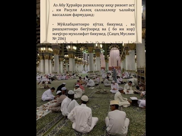 САВОЛ ЧАВОБ?? ШЕЙХ АБУ МУХАММАД МАДАНИ ХАФИЗАХУЛЛОХ