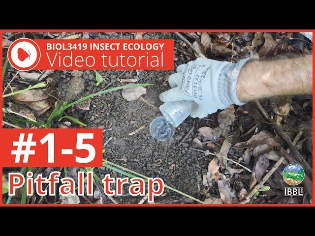 1 5 Pitfall traps