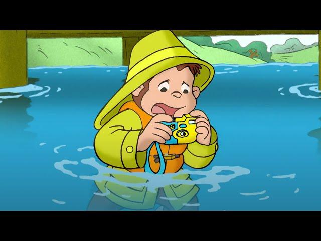 Georges le Petit Singe  La Mauvaise Pêche! Saison 1   Dessins Animés