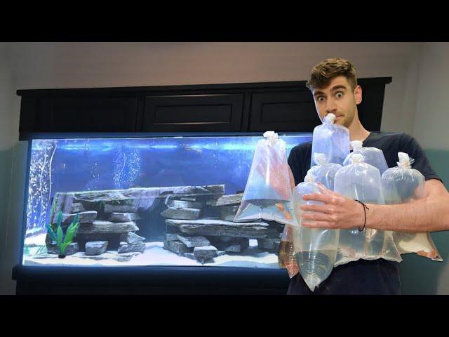 BUYING NEW FISH for AQUARIUM!!