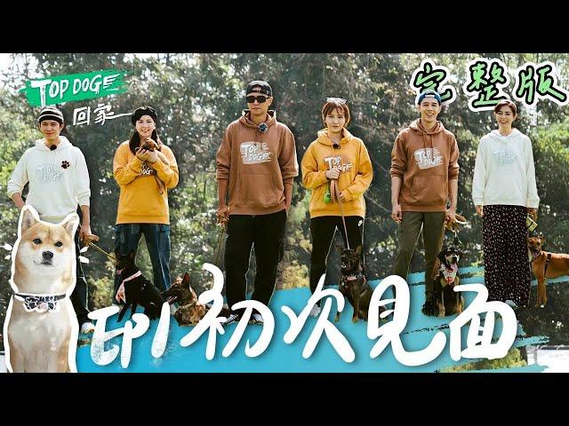 EP1 完整版SUB｜與浪浪初次見面 羅志祥又愛又崩潰的寵物實境秀 胡宇威軍事化訓練 要教出最完美的夥伴 魏蔓第一次當新手媽媽 小小狗真的太可愛｜TOP DOG回家