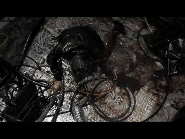 Otep - Rise Rebel Resist OFFICIAL VIDEO