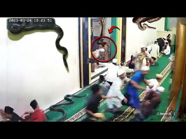 মসজিদে নামাজের সময় আসল জিন | Unbelievable Things Recorded In Masjid | Part 3